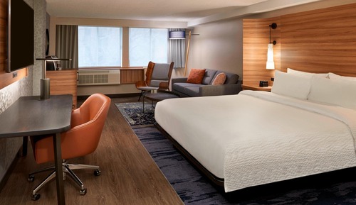 Suite, 1 King Bed with Sofa bed