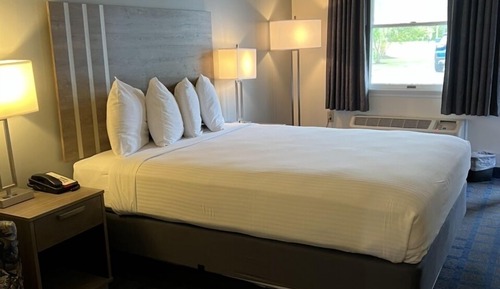 Standard Single Room, 1 Queen Bed, Accessible