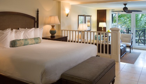 Studio Suite, 1 King Bed, Roll-in Shower (Mobility, Roll-in-Shower)