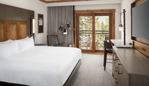Room, 1 King Bed