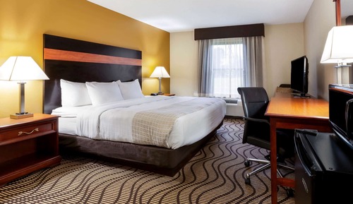 Room, 1 King Bed, Accessible, Non Smoking (Roll in Shower)