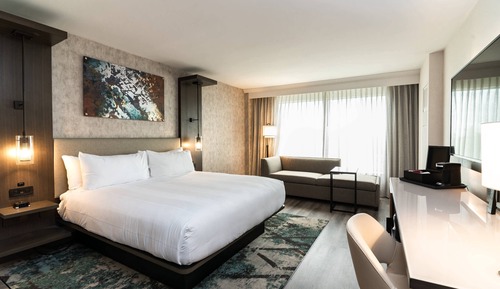 Room, 1 King Bed with Sofa bed