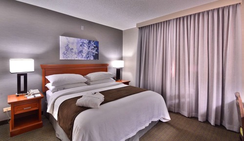 Suite, 1 King Bed, Accessible (Mobility & Hearing, Roll-in Shower)