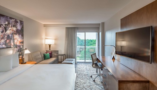 One King Bed, Lake View, with Balcony