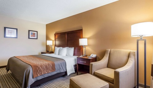 Standard Room, 1 King Bed, Non Smoking