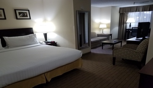 Suite, 1 King Bed