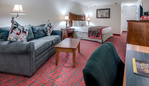 Room, 1 King Bed, Non Smoking