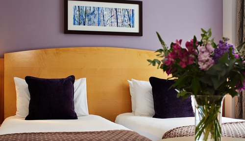 Premium Double Room, 1 King Bed