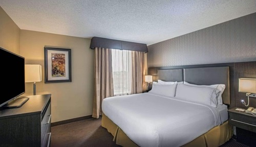 Suite, 1 King Bed with Sofa bed, Non Smoking