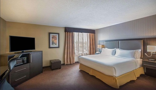 Suite, 1 King Bed with Sofa bed, Non Smoking