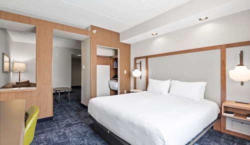 Suite, 1 King Bed with Sofa bed