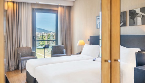 Superior Twin Room (Temple of Zeus View)