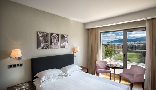 Executive Double Room (Temple of Zeus or Acropolis View)
