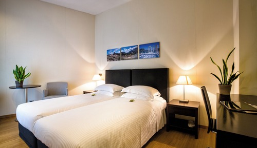 Economy Room, 1 Double Bed