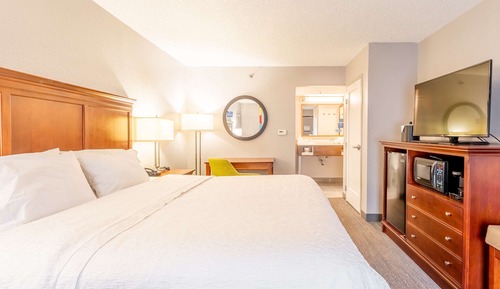 Room, 1 King Bed, Non Smoking
