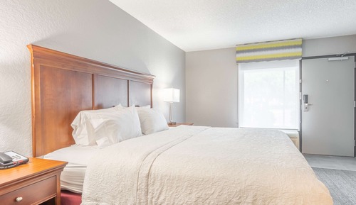 Room, 1 King Bed, Accessible, Non Smoking