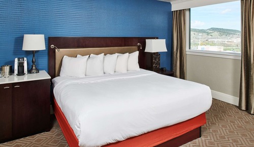 Room, 1 King Bed (Chairman, Roll-in Shower)