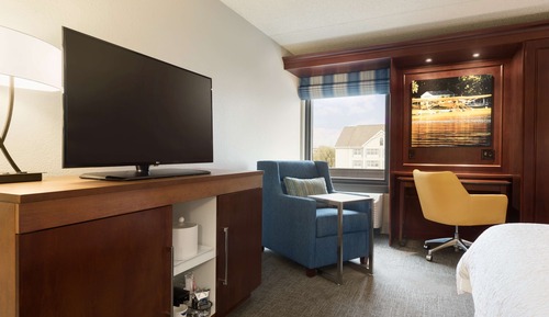 Room, 1 King Bed, Bathtub