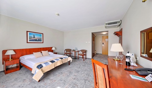Business Double Room