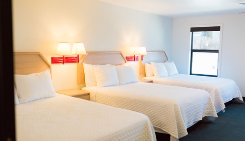 Family Room, Multiple Beds