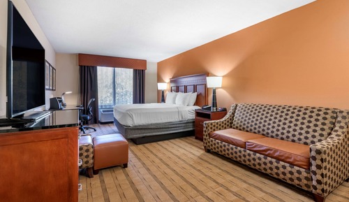 Suite, 1 King Bed, Non Smoking (with Sofabed)