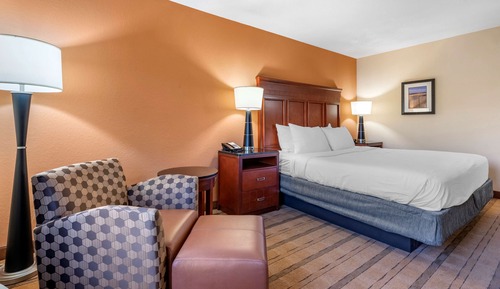 Standard Room, 1 King Bed, Non Smoking