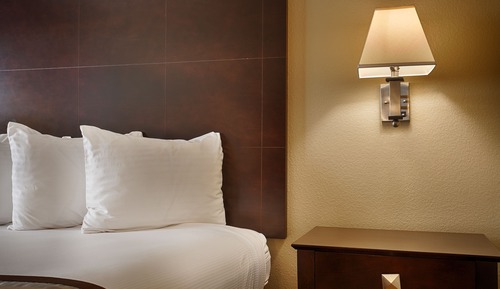 Standard Room, 1 King Bed, Non Smoking, Refrigerator & Microwave (with Sofabed)