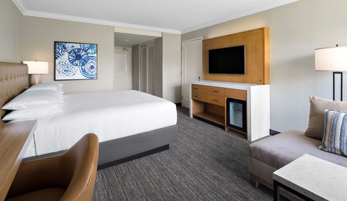 Room, 1 King Bed, Terrace