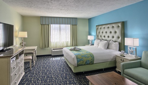 Standard Room, 1 King Bed with Sofa bed, No View