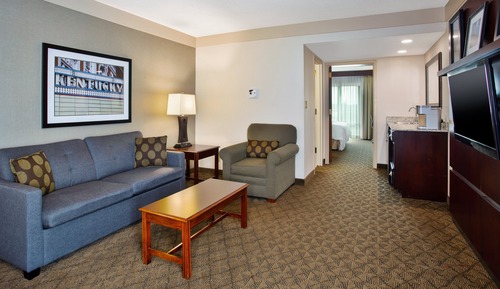 Suite, 1 King Bed