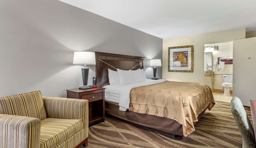 Standard Room, 1 King Bed, Non Smoking