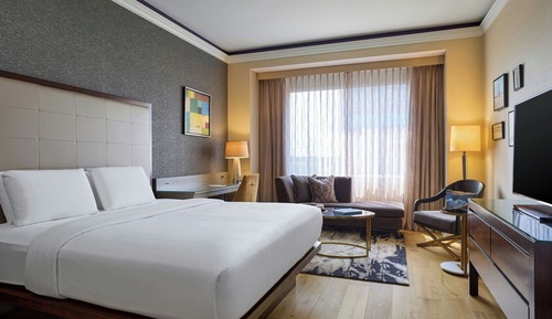 Room, 1 King Bed, Non Smoking (Mobility Accessible, Roll-In Shower)