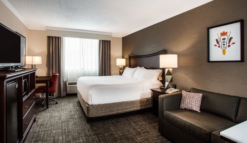 Standard Room, 1 King Bed with Sofa bed