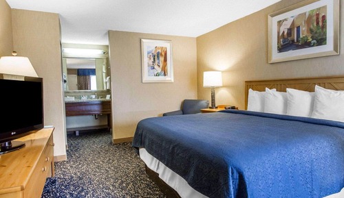 Standard Room, 1 King Bed, Non Smoking
