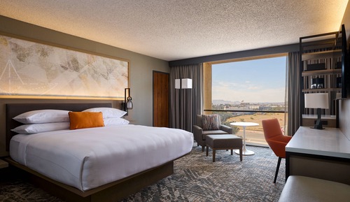 Room, 1 King Bed