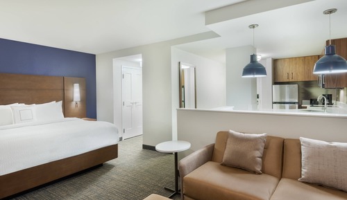 Studio, 1 King Bed with Sofa bed