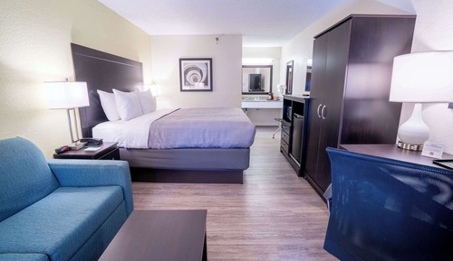 Standard Room, 1 King Bed with Sofa bed, Non Smoking