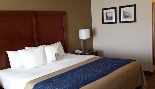 Standard Room, 1 King Bed, Non Smoking