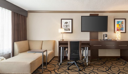 Suite, 1 King Bed with Sofa bed