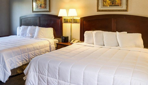 Room, Multiple Beds, Non Smoking