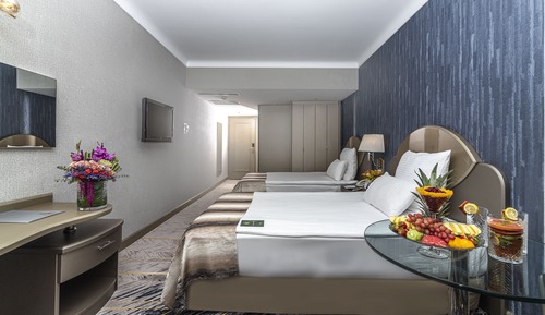 Premium Double or Twin Room