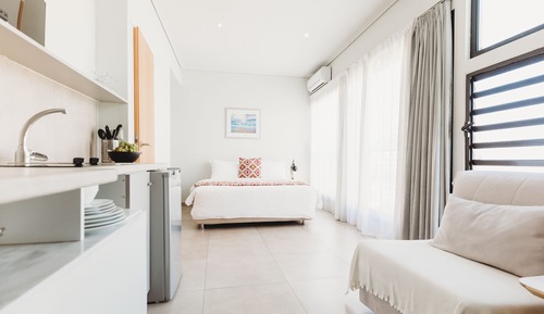 Deluxe Penthouse (Acropolis view Shared Roof Top)