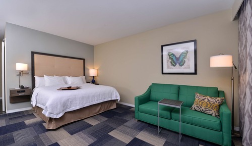 Room, 1 King Bed with Sofa bed, Refrigerator & Microwave