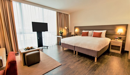 Studio, 1 King Bed with Sofa bed, City View