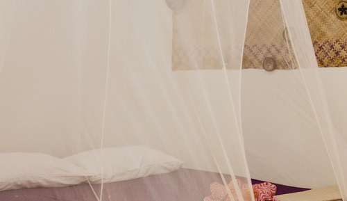 Basic Room