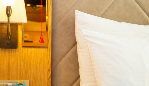 Room, 1 King Bed (Roll-In Shower)