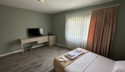 Classic Double Room