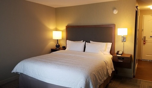 Room, 1 King Bed, Non Smoking, Refrigerator & Microwave