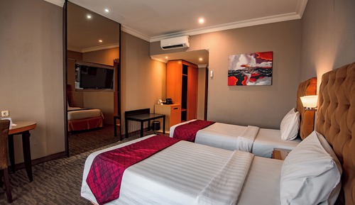 Deluxe Twin Room