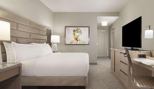 Room, 1 King Bed
